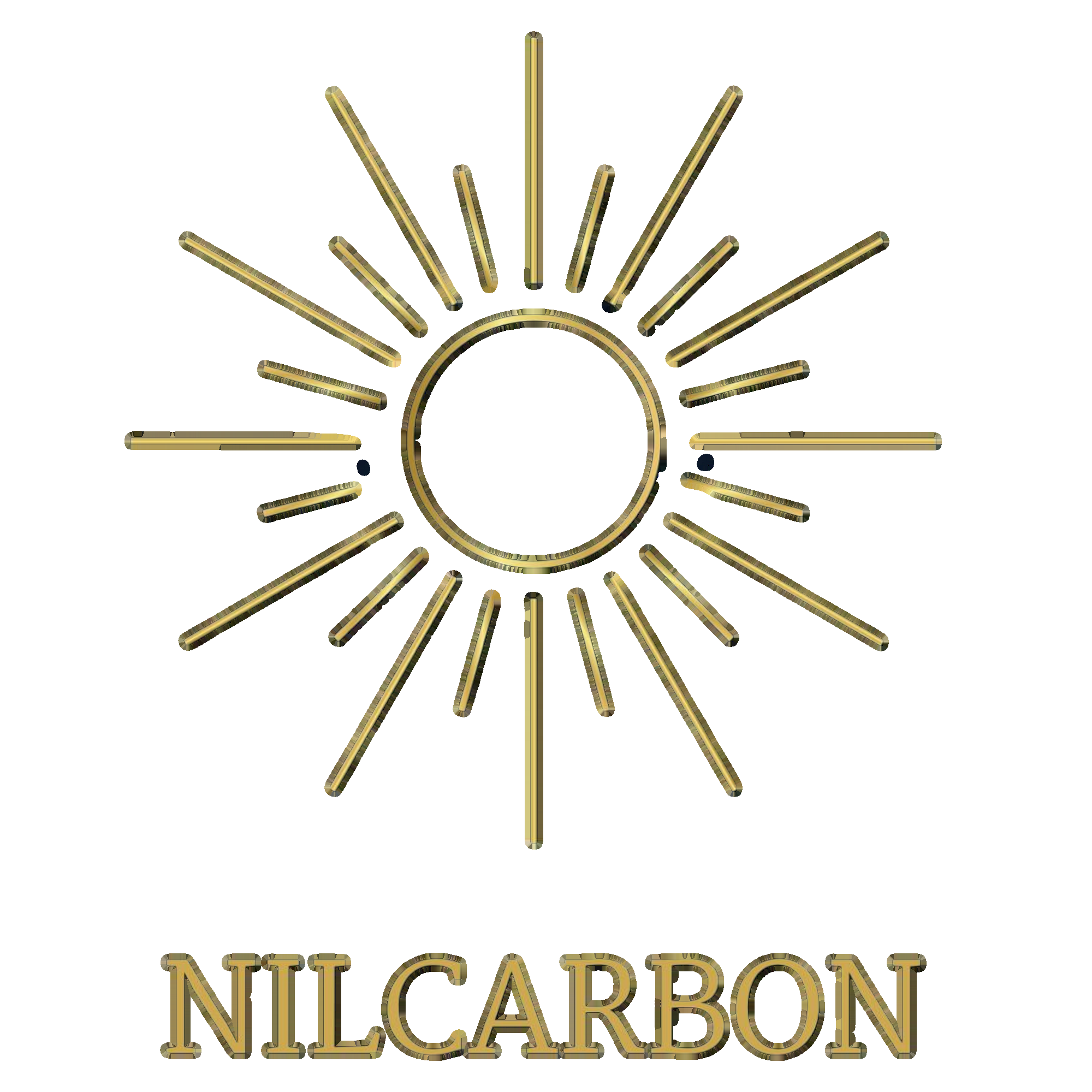 Nilcarbon Logo