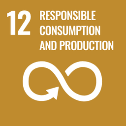 United Nations Sustainable Development Goal 12